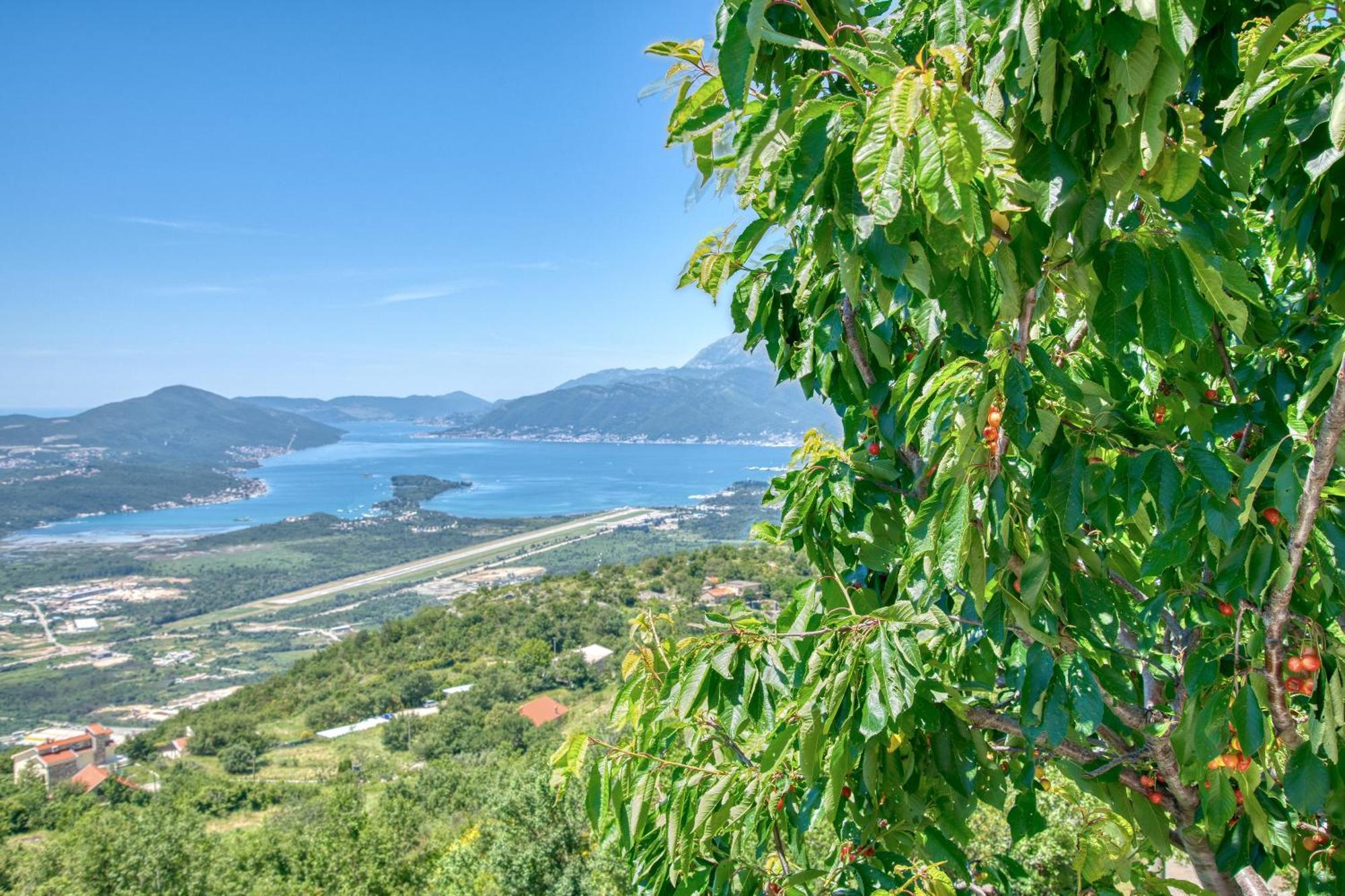 Apartment Paradise Kotor Bagian luar foto