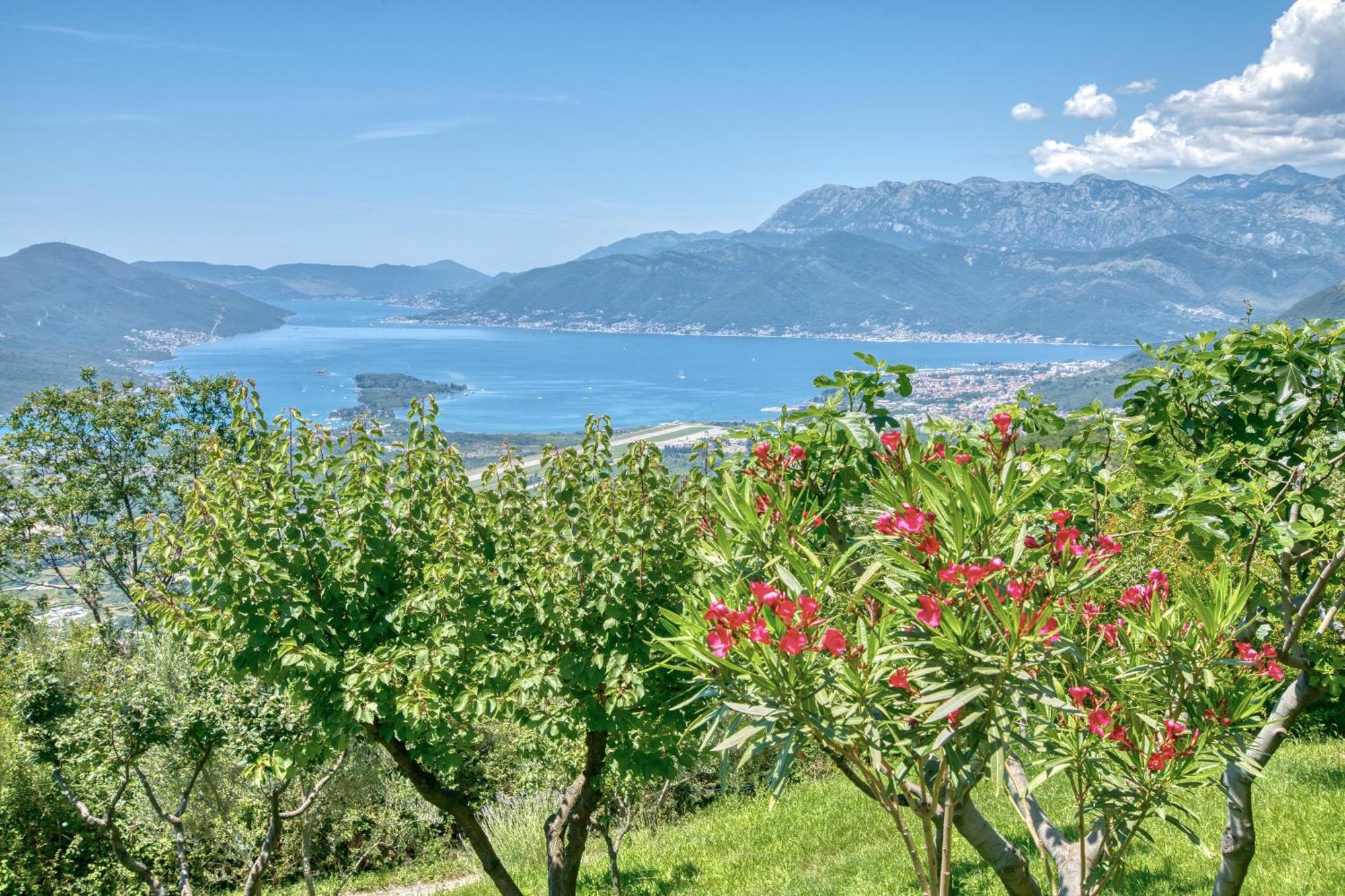 Apartment Paradise Kotor Bagian luar foto
